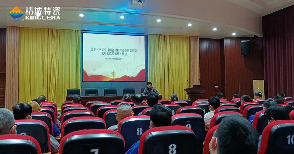 壹定发组织学习《支持先进陶瓷质料工业集群高质量开展的政策步伐》