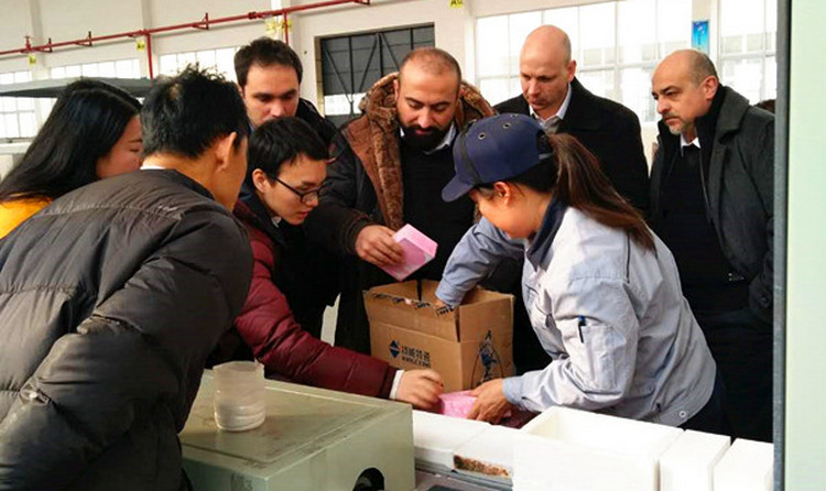 壹定发·(EDF)最新官方网站